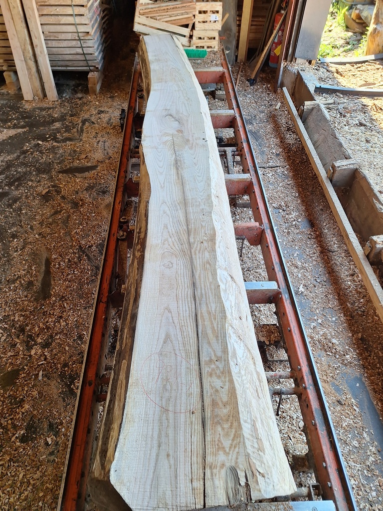 Plateau Frêne 38 x 280-390 x 3820 mm de la boule 934 - 1