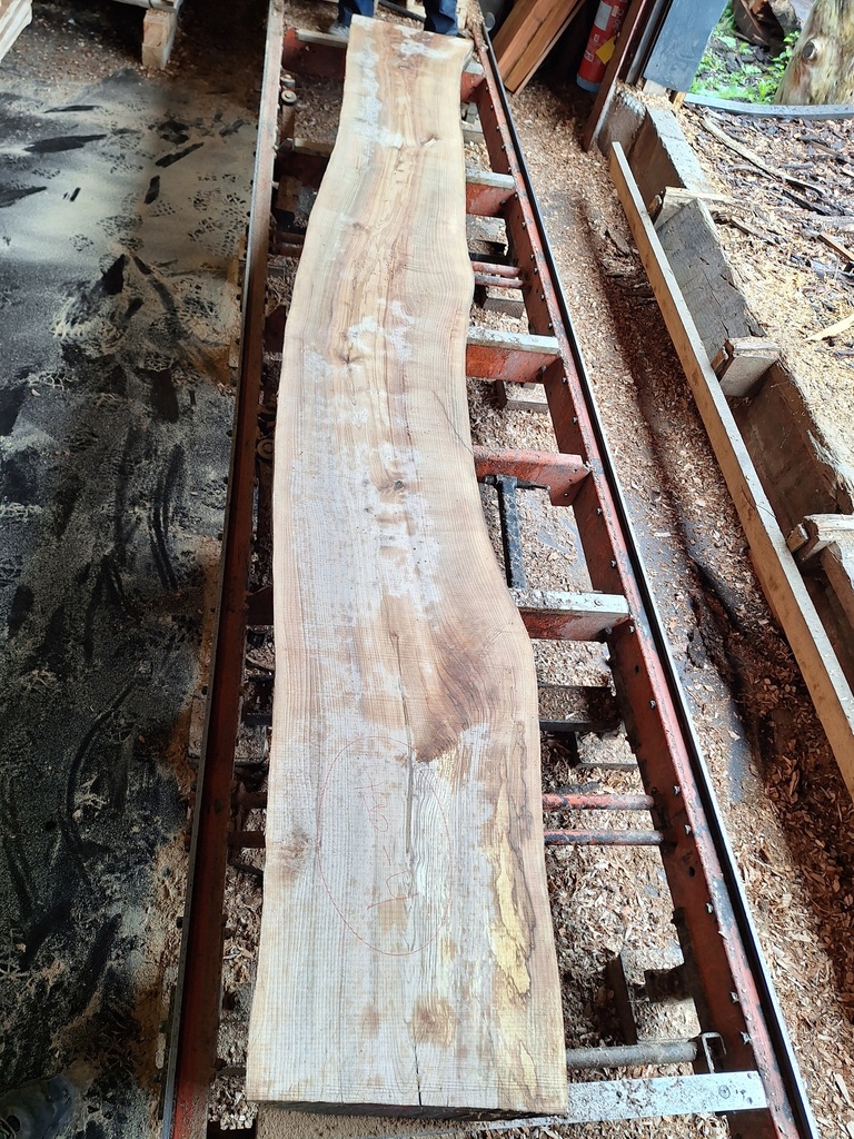 Plateau Frêne 38 x 440-460 x 3850 mm de la boule 940 - 4