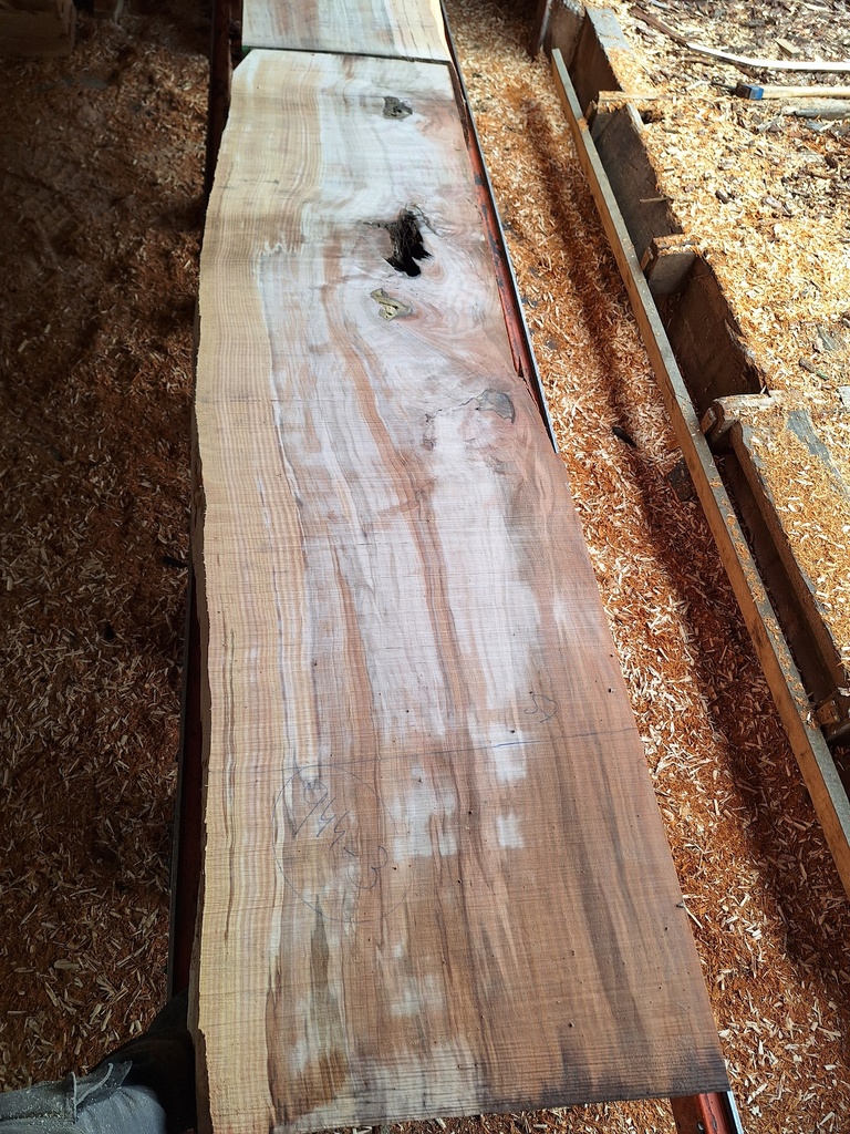 Plateau Hêtre 103 x 510-570 x 2000 mm de la boule 944 - 3