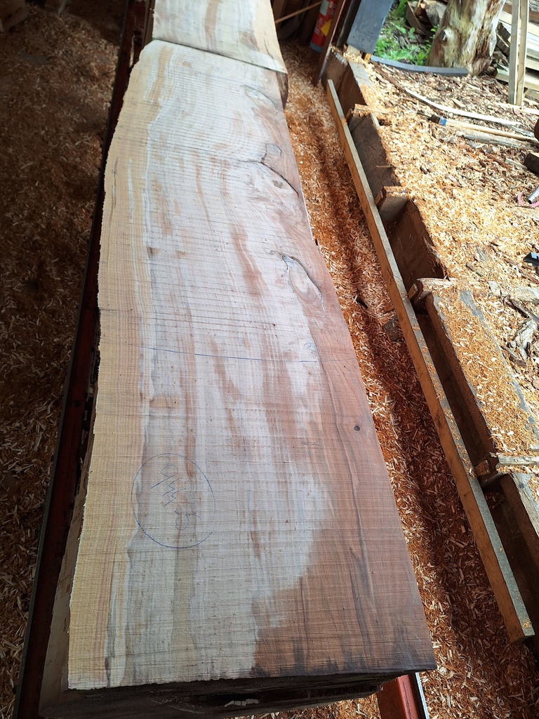 Plateau Hêtre 103 x 530-600 x 2000 mm de la boule 944 - 5