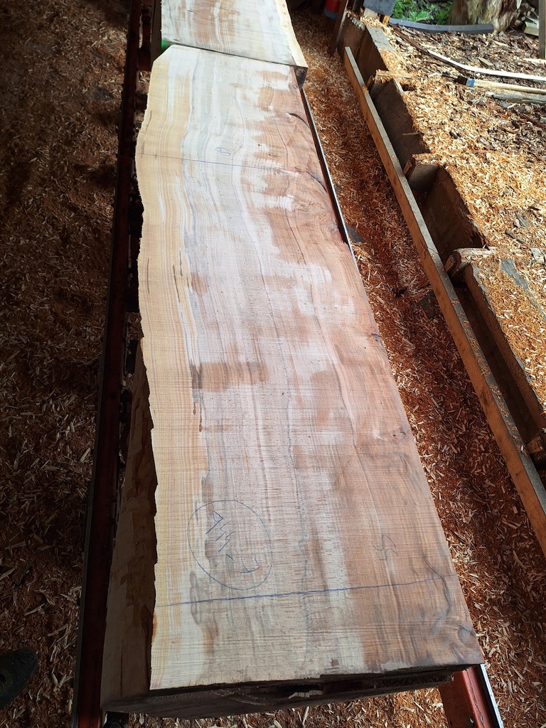 Plateau Hêtre 83 x 550-600 x 2000 mm de la boule 944 - 7