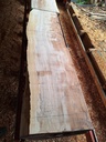 Plateau Hêtre 83 x 550-600 x 2000 mm de la boule 944 - 7