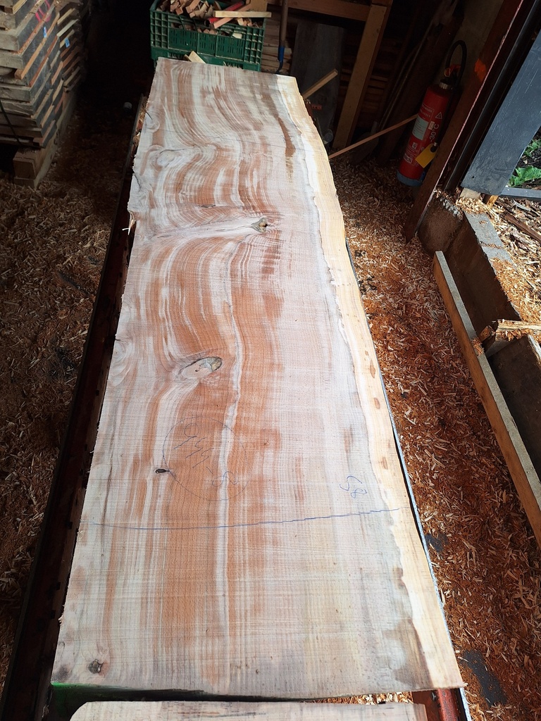 Plateau Hêtre 83 x 580-620 x 2000 mm de la boule 944 - 8