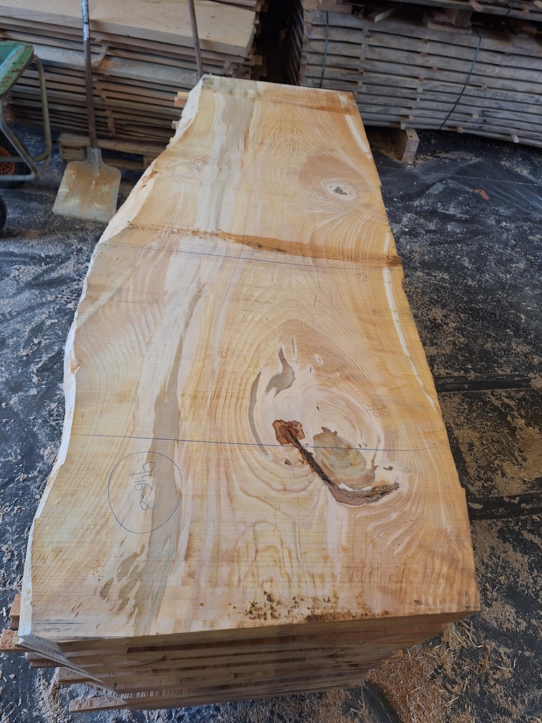 [PL-HET-946-8] Plateau Hêtre 83 x 780-830 x 2180 mm de la boule 946 - 8