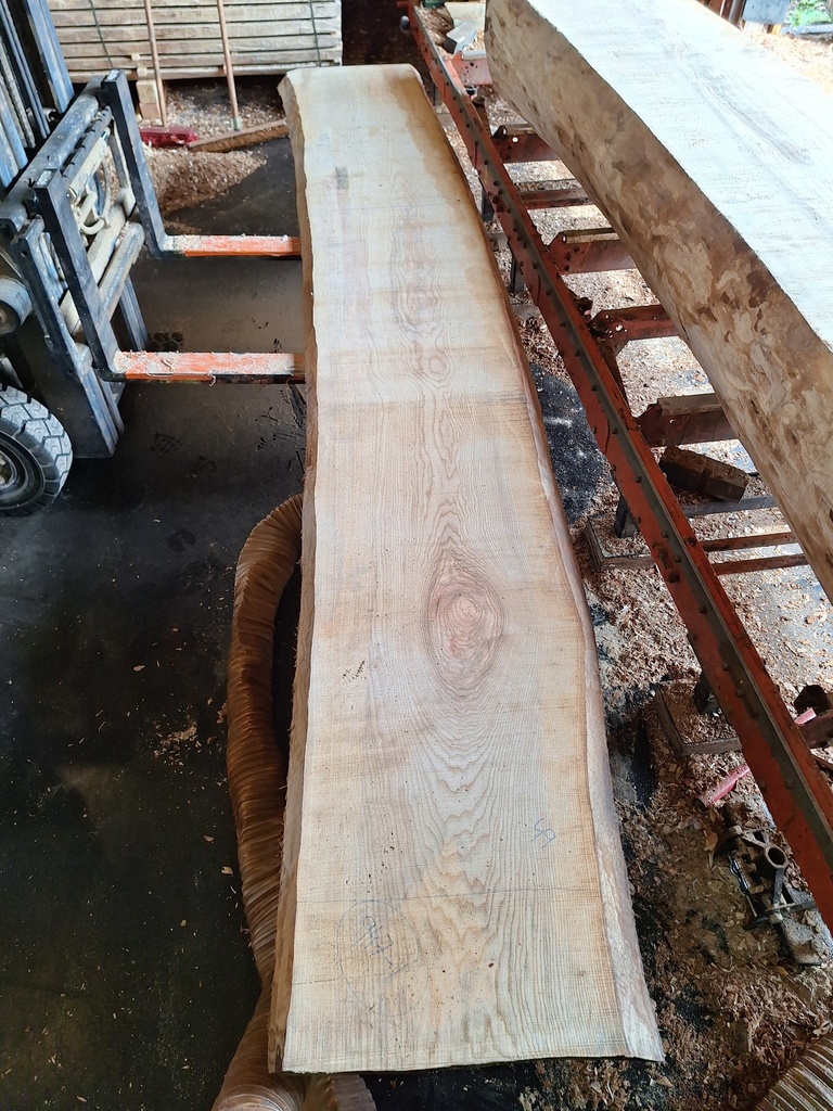 Plateau Frêne 43 x 490-580 x 3960 mm de la boule 947 - 1