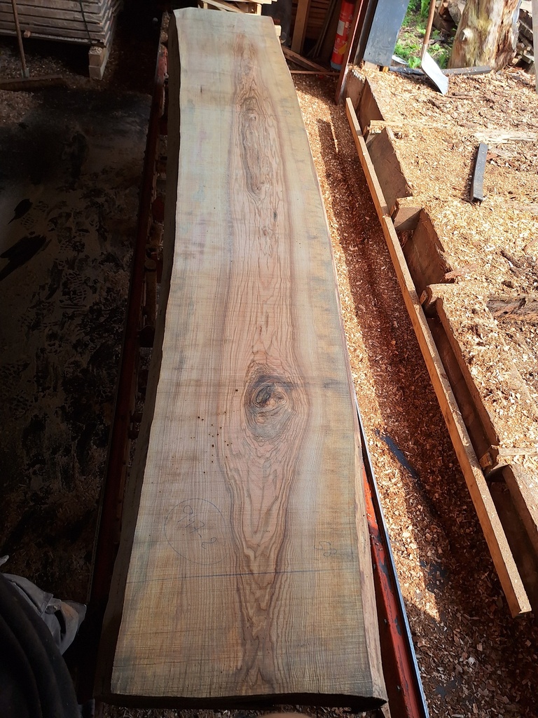 Plateau Frêne 43 x 580-650 x 3960 mm de la boule 947 - 2