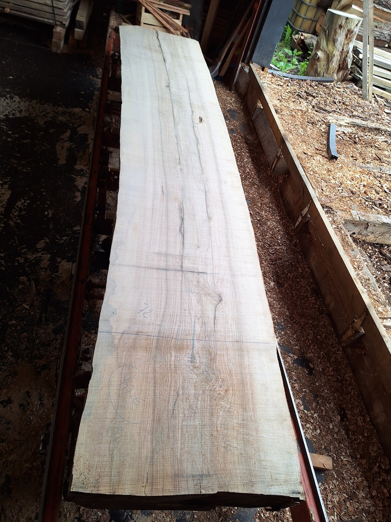 Plateau Frêne 43 x 720-790 x 3960 mm de la boule 947 - 6