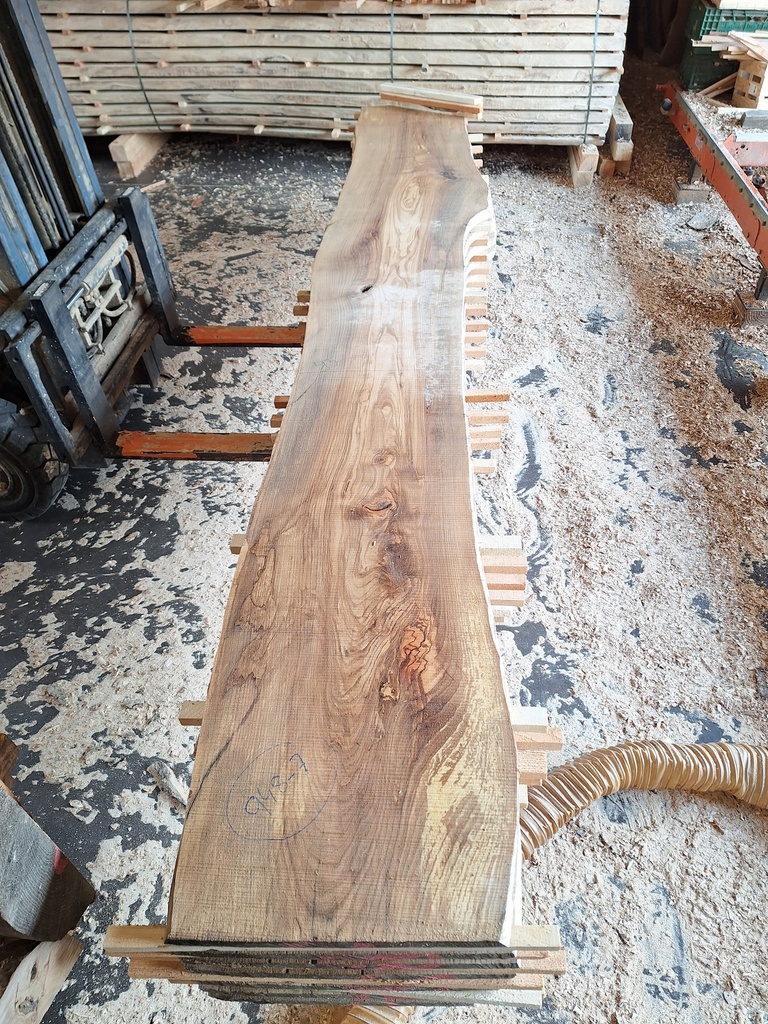 Plateau Frêne 28 x 430-510 x 3800 mm de la boule 948 - 7