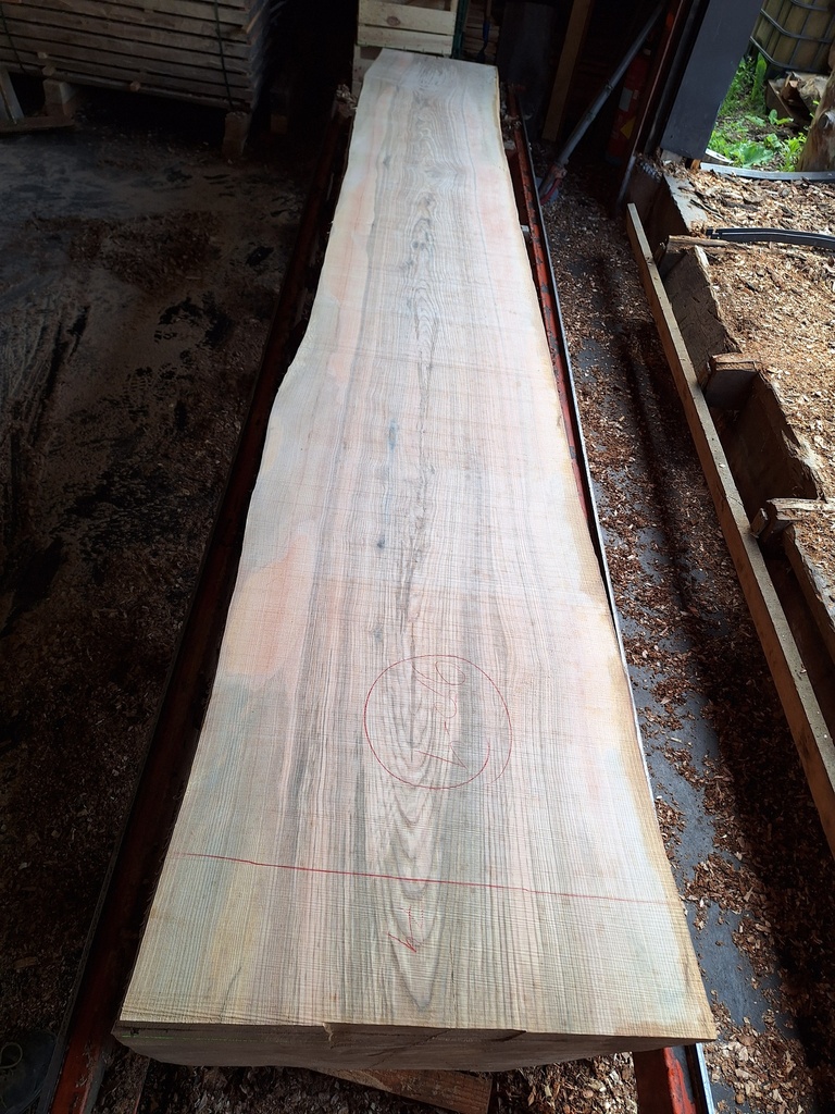 Plateau Frêne 43 x 590-740 x 4050 mm de la boule 950 - 4