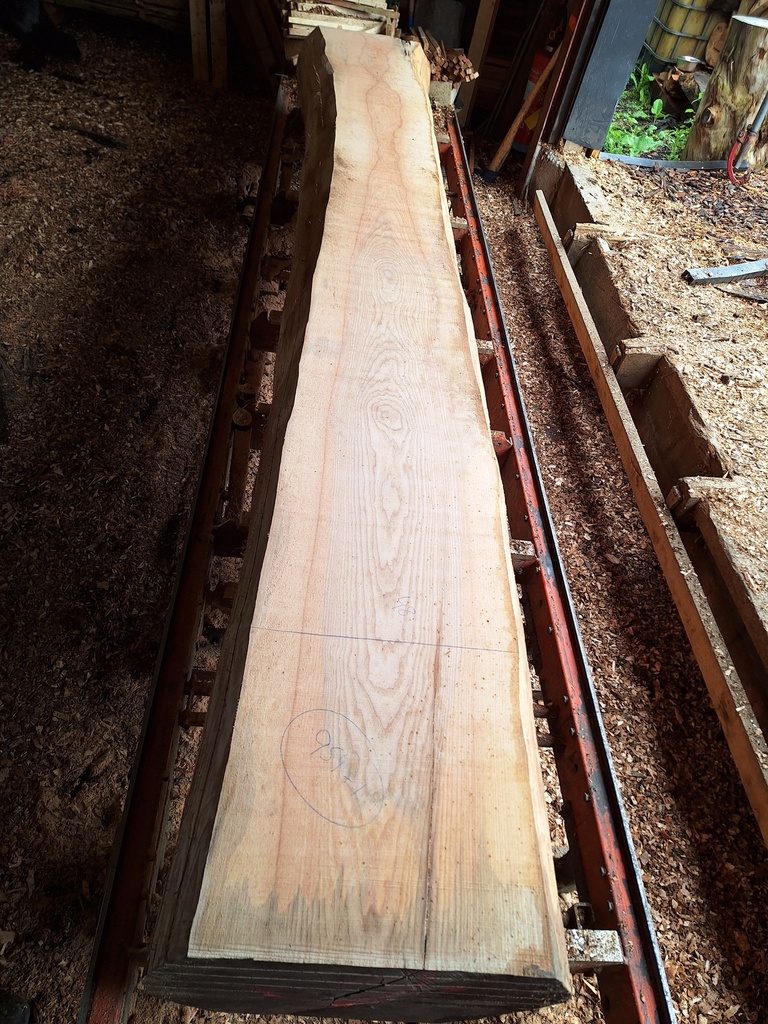 Plateau Frêne 43 x 400-480 x 4030 mm de la boule 954 - 1