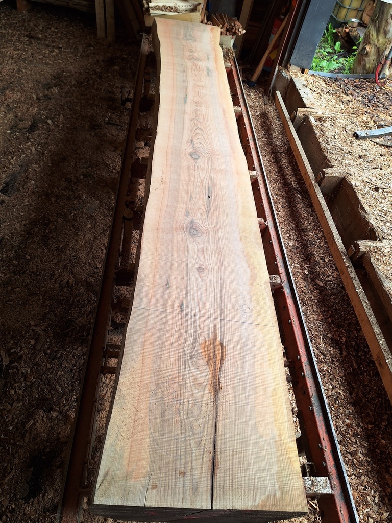 Plateau Frêne 43 x 520-560 x 4030 mm de la boule 954 - 3