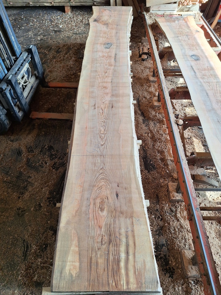 Plateau Frêne 43 x 480-570 x 4030 mm de la boule 954 - 7