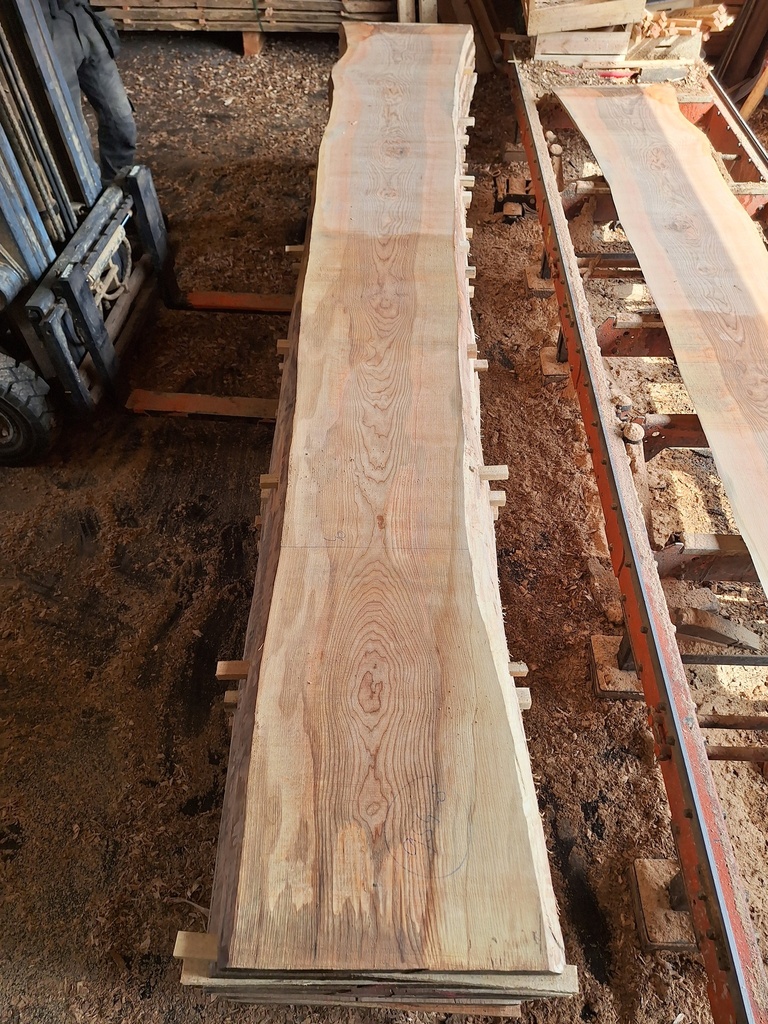 Plateau Frêne 43 x 400-530 x 4030 mm de la boule 954 - 8