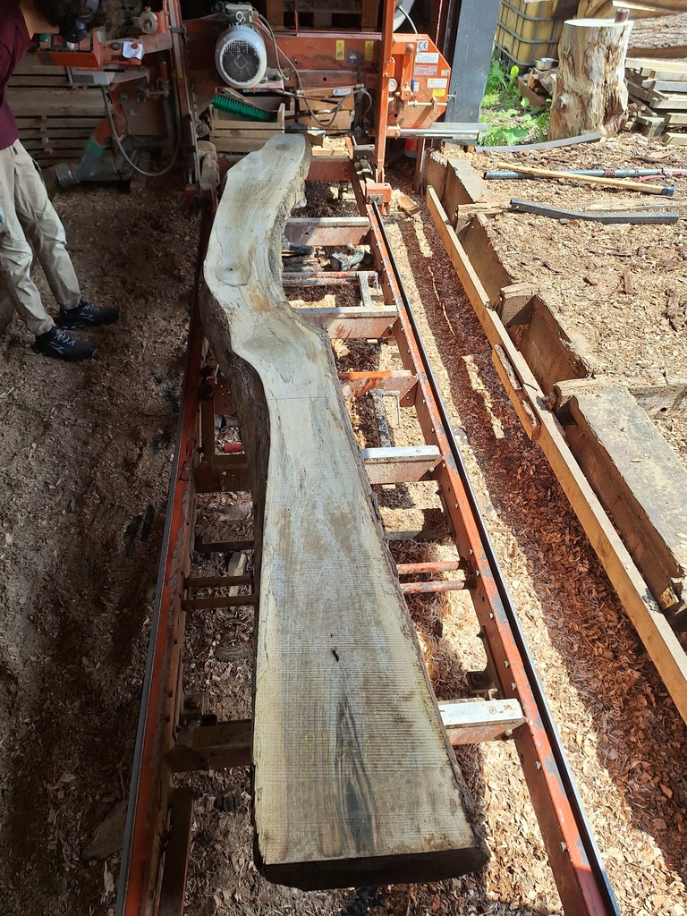 Plateau Noyer 18 x 240-350 x 4000 mm de la boule 956A - 1