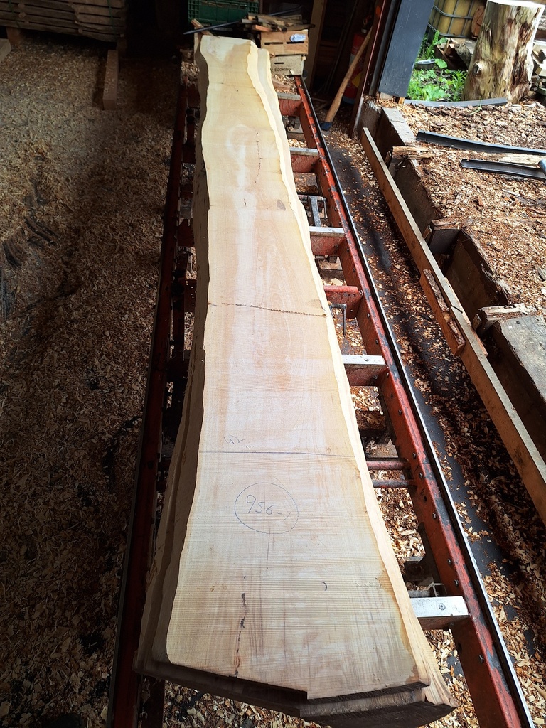 Plateau Hêtre 43 x 250-420 x 4140 mm de la boule 956B - 1