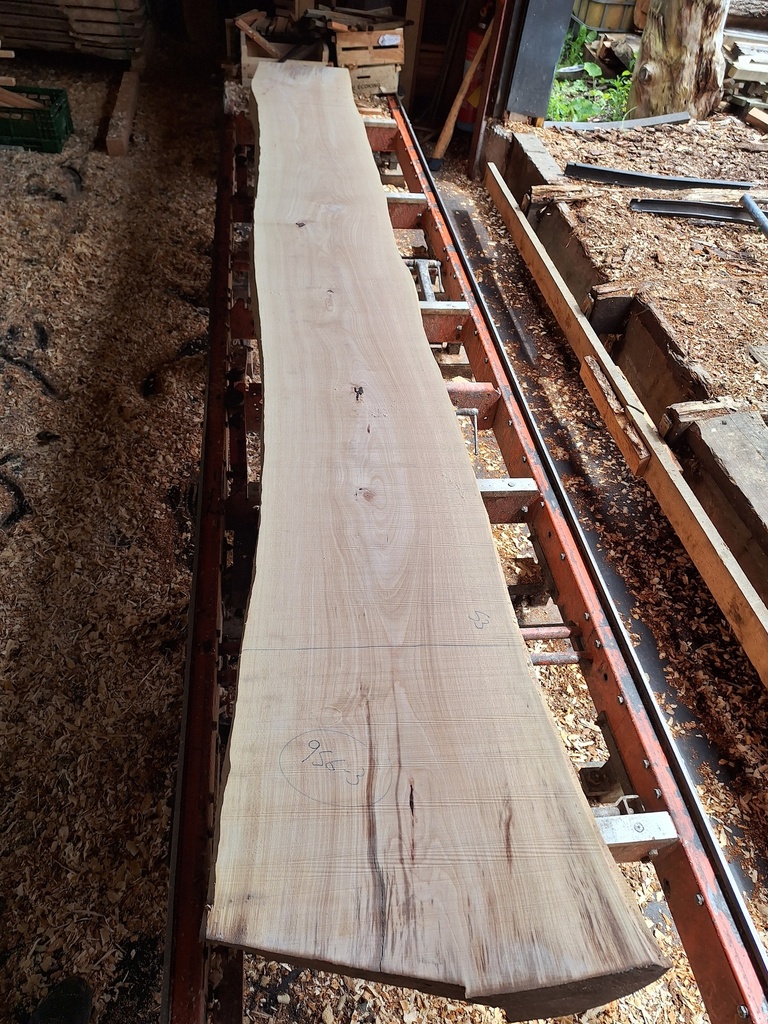 Plateau Hêtre 43 x 470-530 x 4140 mm de la boule 956B - 3