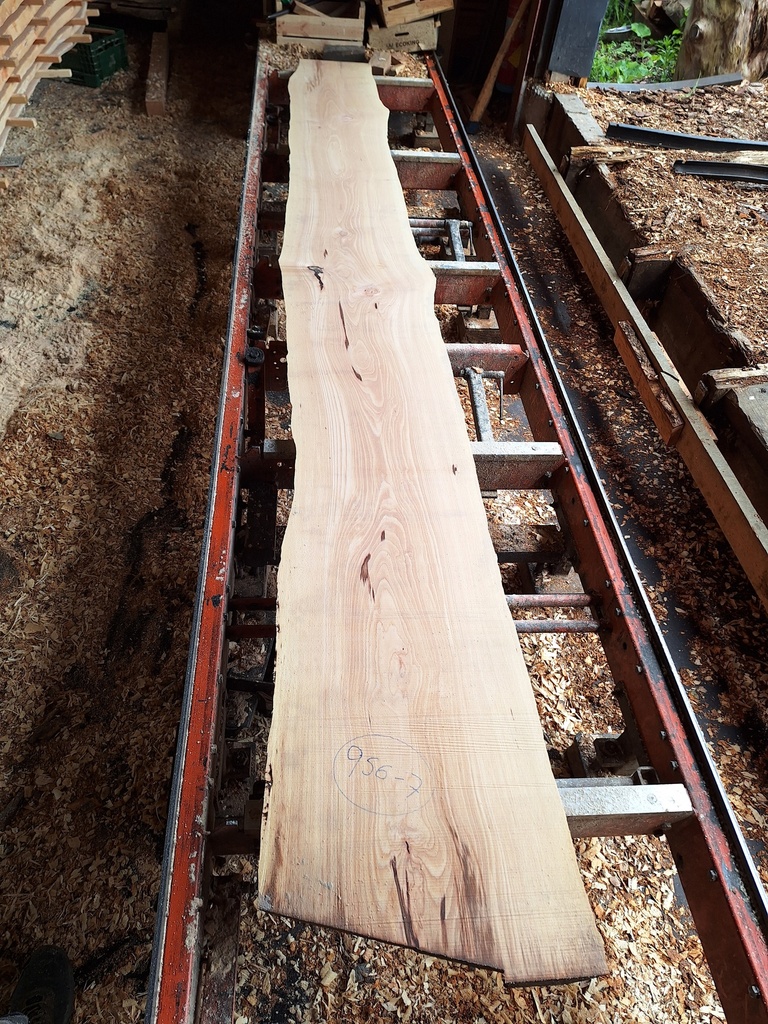 Plateau Hêtre 43 x 340-450 x 4140 mm de la boule 956B - 7