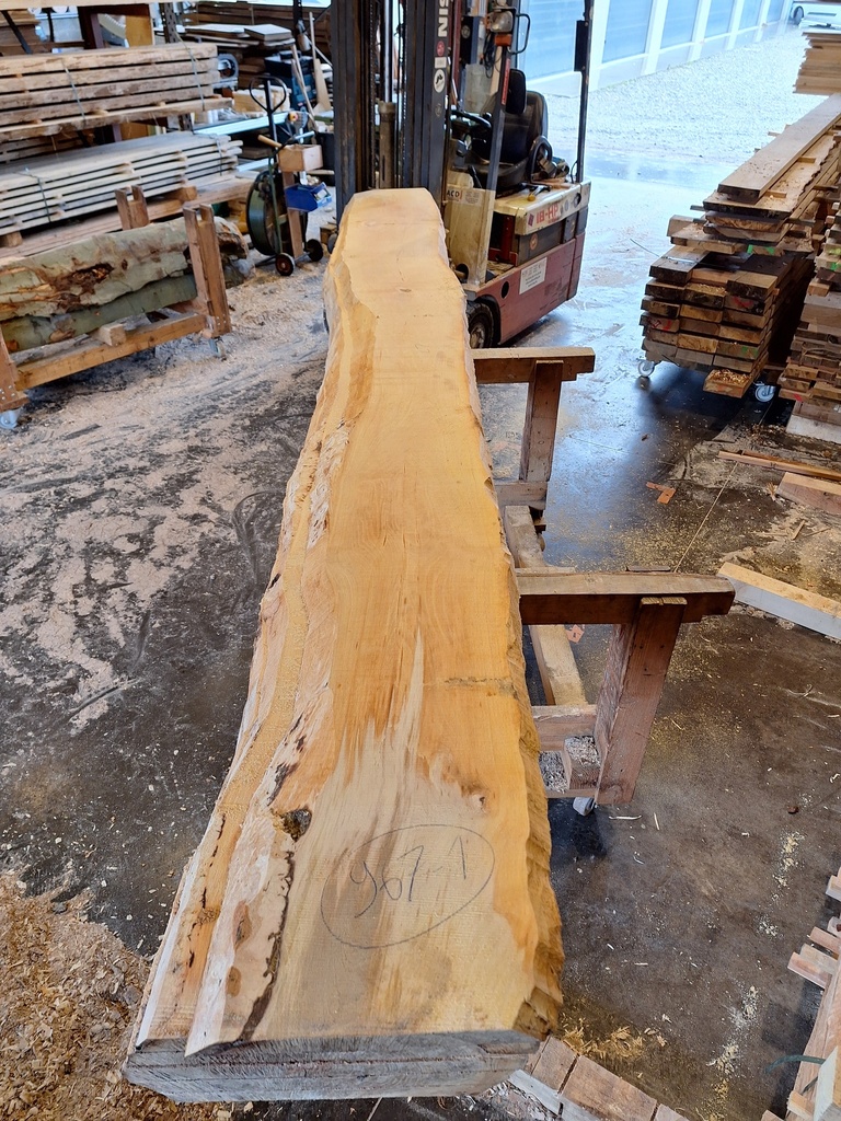 [PL-HET-967-1] Plateau Hêtre 43 x 270-410 x 4000 mm de la boule 967 - 1