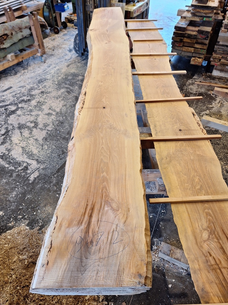 Plateau Hêtre 43 x 270-460 x 4000 mm de la boule 967 - 2