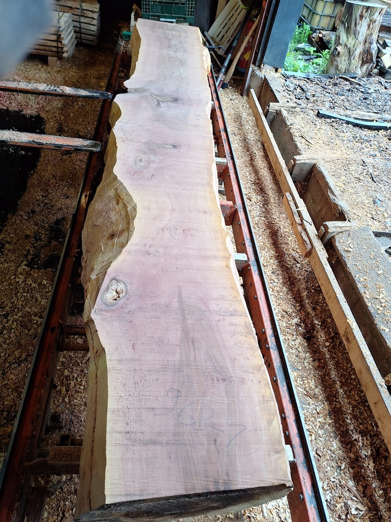 Plateau Platane 43 x 400-620 x 4050 mm de la boule 968 - 1