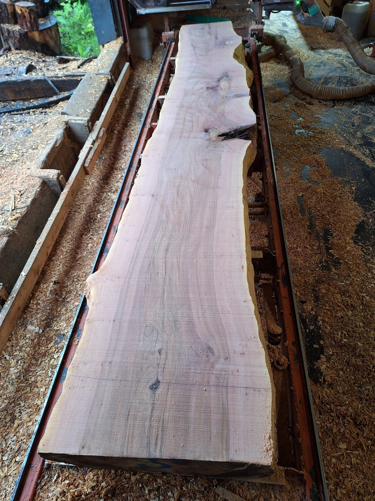 Plateau Platane 43 x 480-670 x 4050 mm de la boule 968 - 2