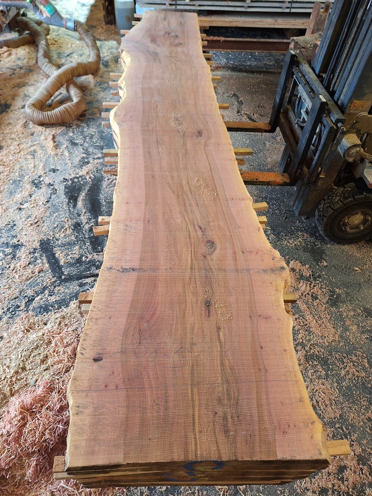 Plateau Platane 43 x 530-660 x 4050 mm de la boule 968 - 5