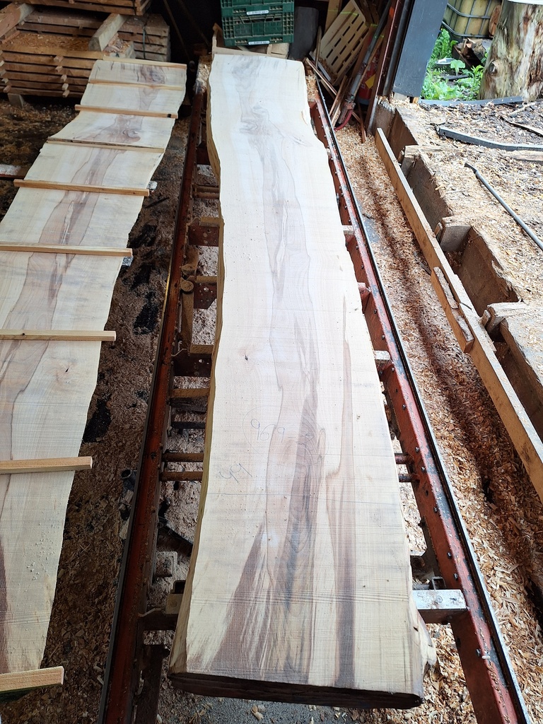 Plateau Hêtre 53 x 490-600 x 4050 mm de la boule 969 - 2