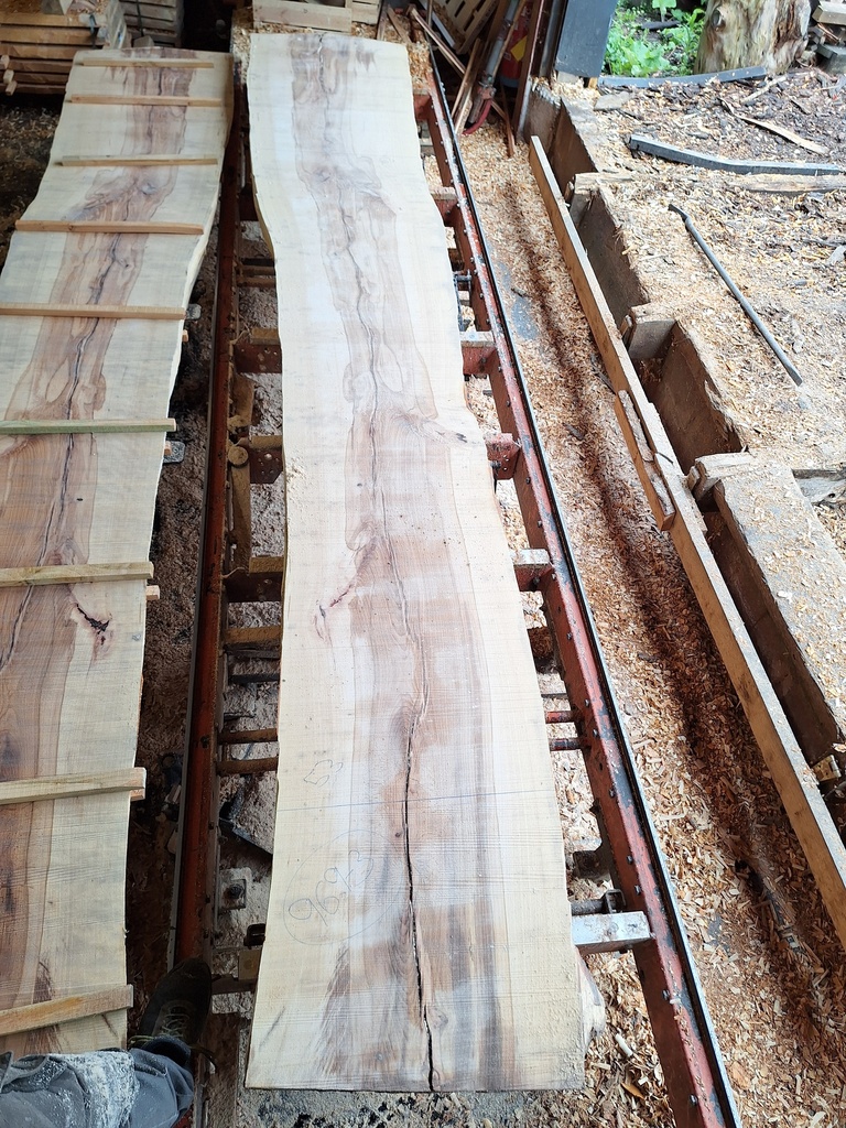 Plateau Hêtre 53 x 530-630 x 4050 mm de la boule 969 - 3