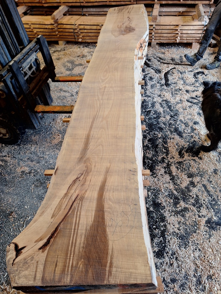 Plateau Hêtre 53 x 450-610 x 4050 mm de la boule 969 - 5