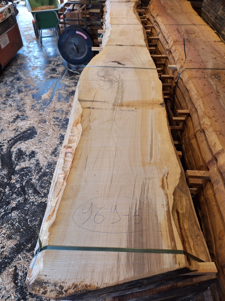 Plateau Hêtre 53 x 310-570 x 4050 mm de la boule 969 - 6