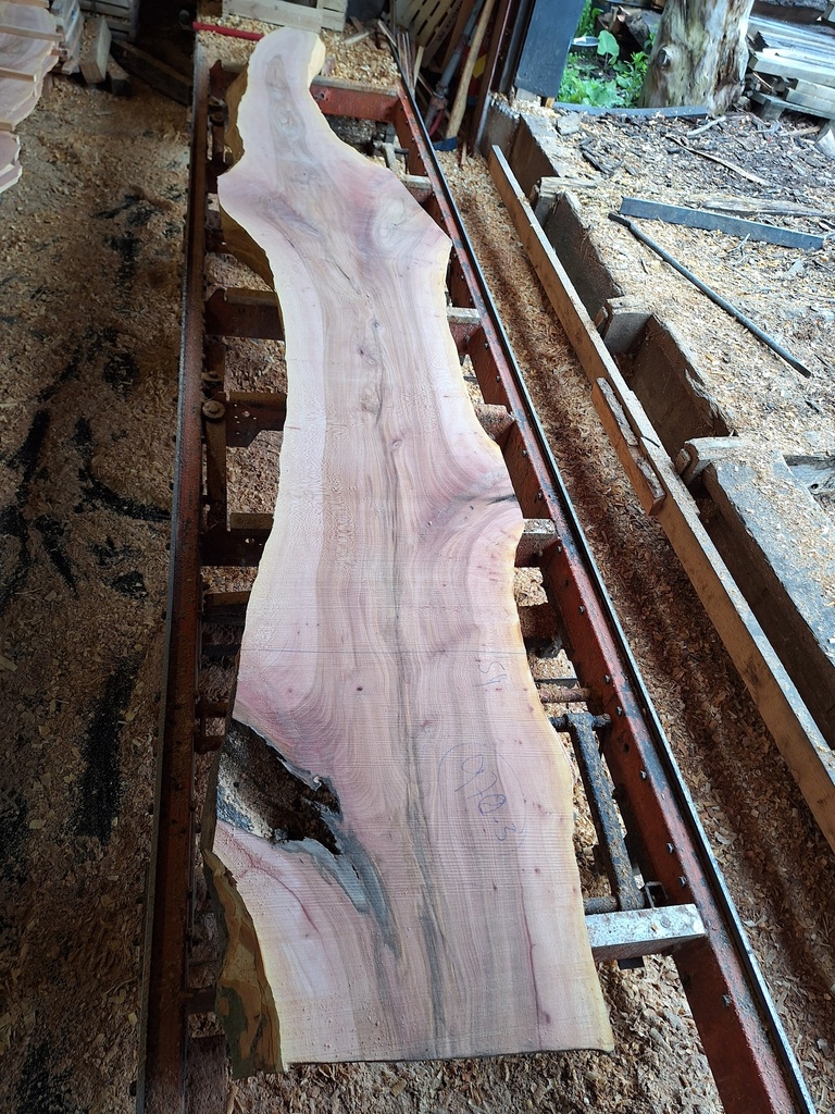 Plateau Platane 18 x 200-510 x 4000 mm de la boule 970 - 3