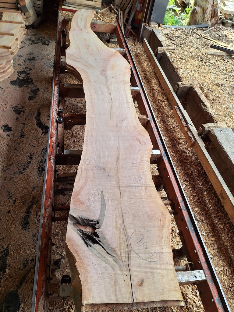 Plateau Platane 18 x 240-540 x 4000 mm de la boule 970 - 5