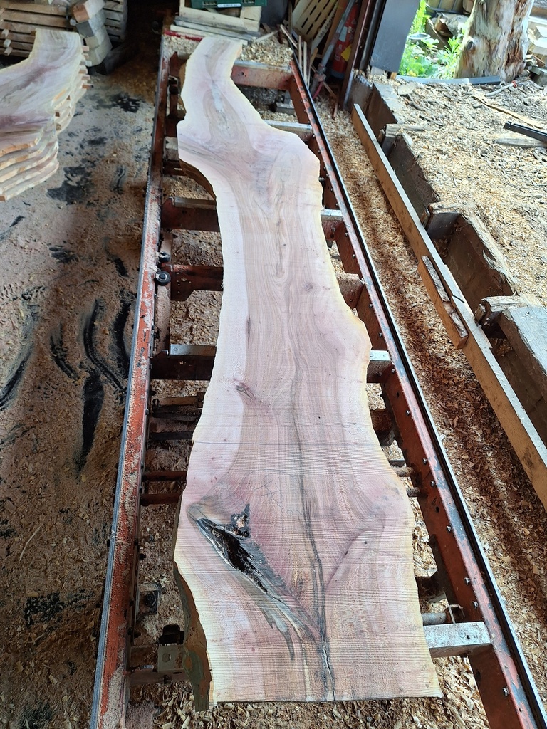 Plateau Platane 18 x 260-540 x 4000 mm de la boule 970 - 6