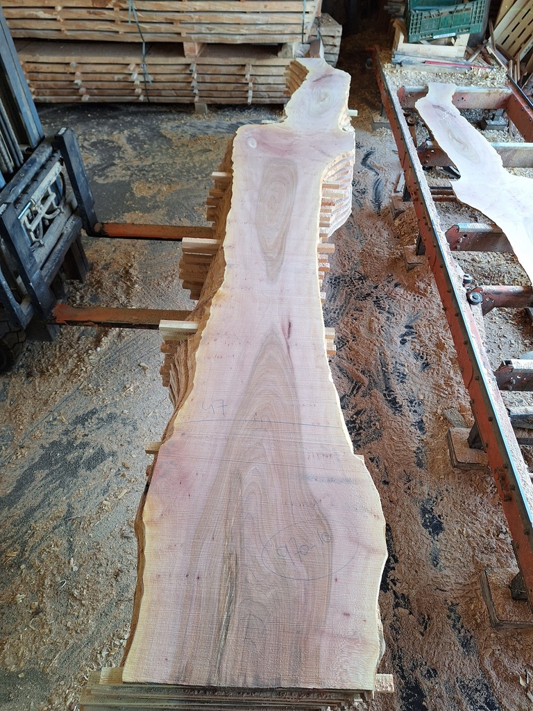 Plateau Platane 18 x 300-500 x 4000 mm de la boule 970 - 10