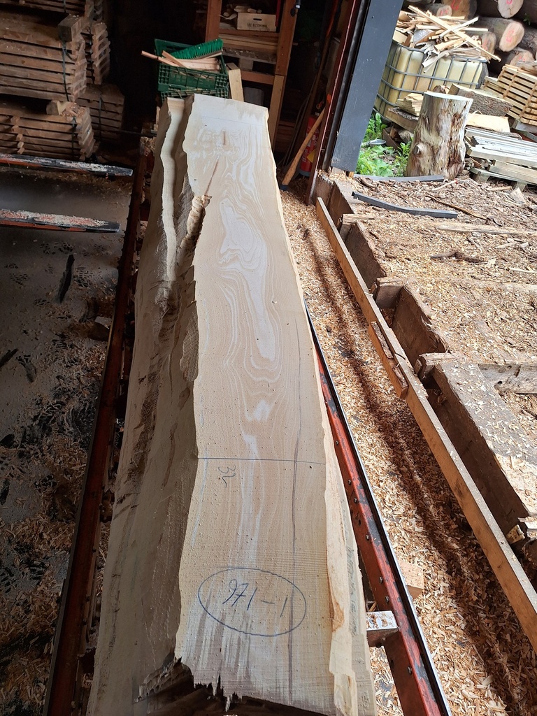 [PL-HET-971-1] Plateau Hêtre 53 x 320-530 x 4100 mm de la boule 971 - 1