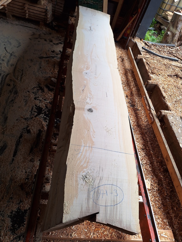 Plateau Hêtre 53 x 510-620 x 4100 mm de la boule 971 - 3