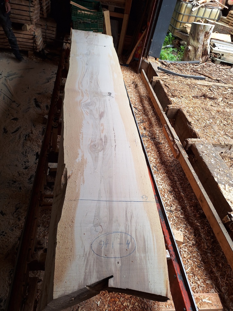 Plateau Hêtre 53 x 530-660 x 4100 mm de la boule 971 - 4