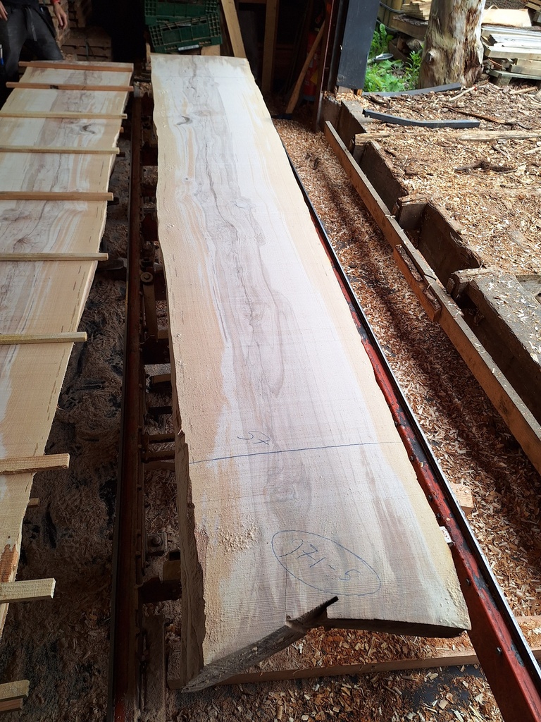 Plateau Hêtre 53 x 570-720 x 4100 mm de la boule 971 - 5