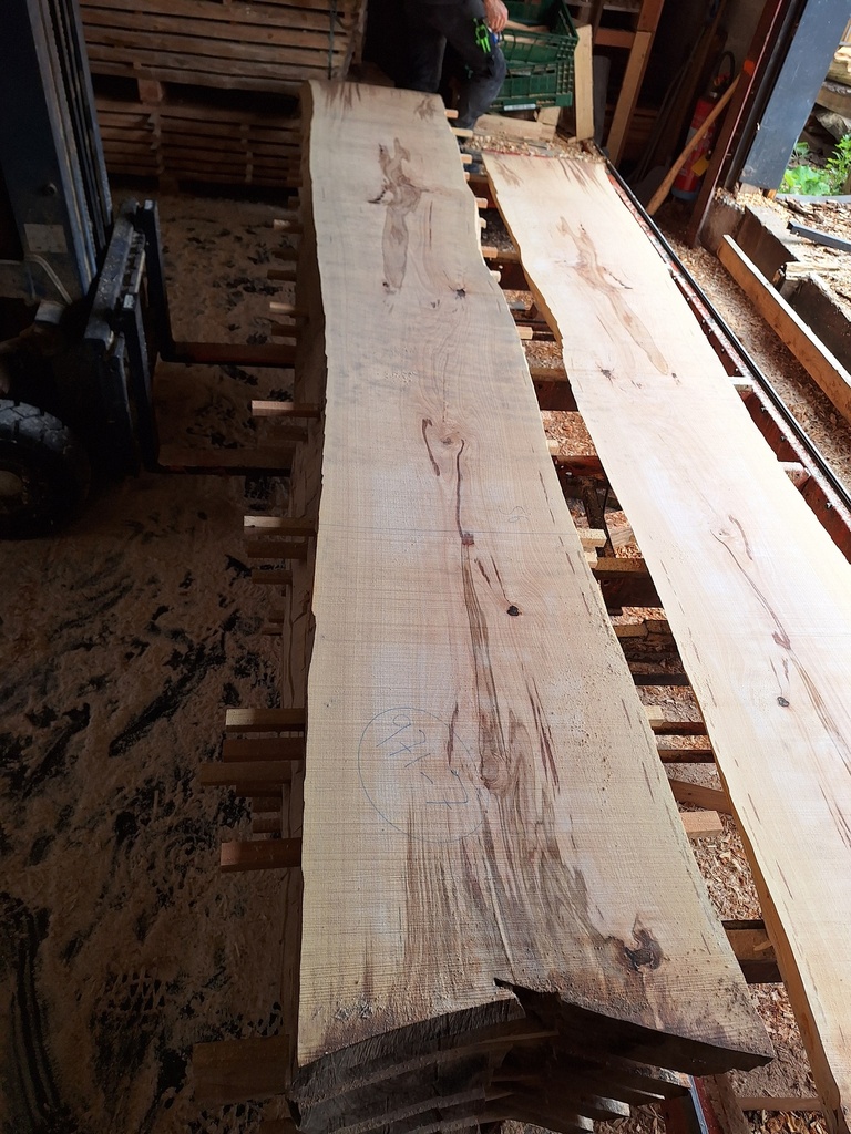 Plateau Hêtre 53 x 560-600 x 4100 mm de la boule 971 - 7