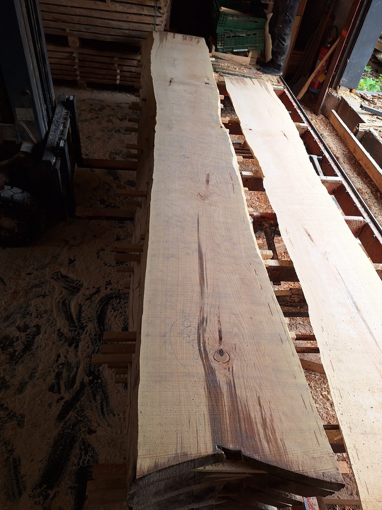 Plateau Hêtre 53 x 480-530 x 4100 mm de la boule 971 - 8