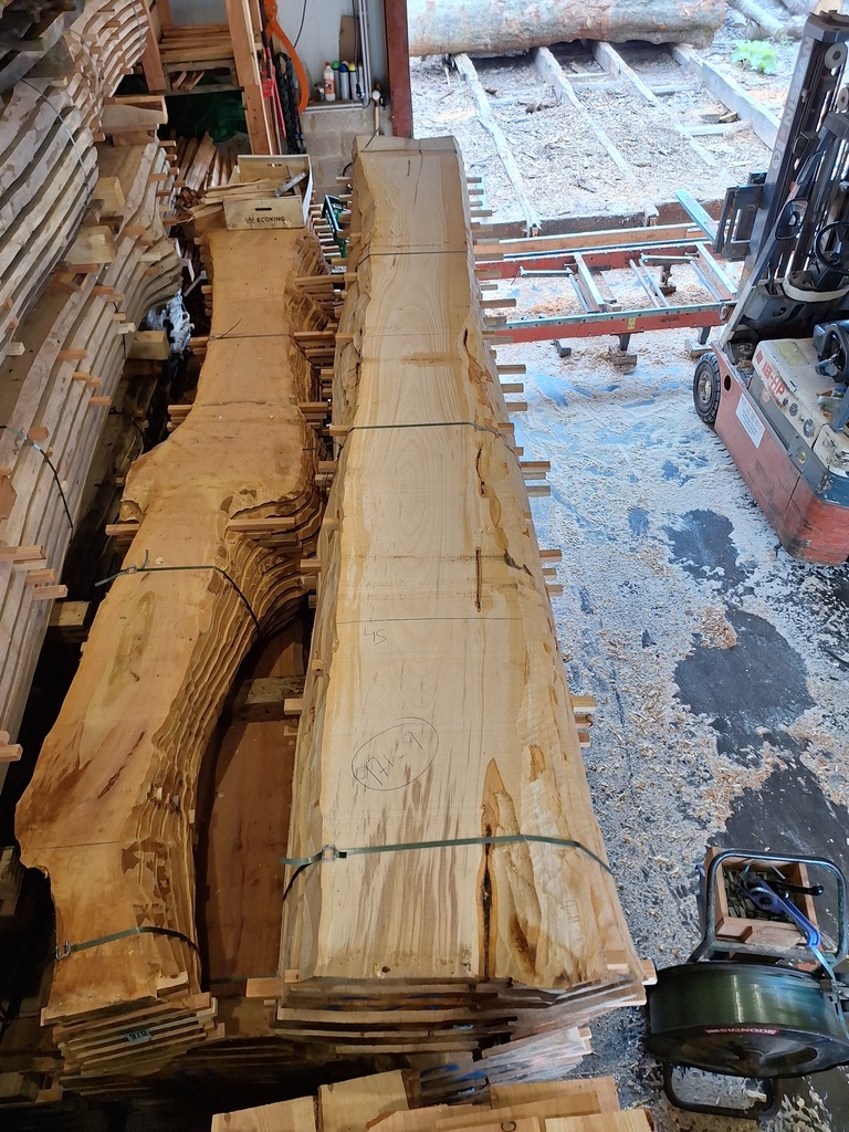 Plateau Hêtre 53 x 340-450 x 4100 mm de la boule 971 - 9