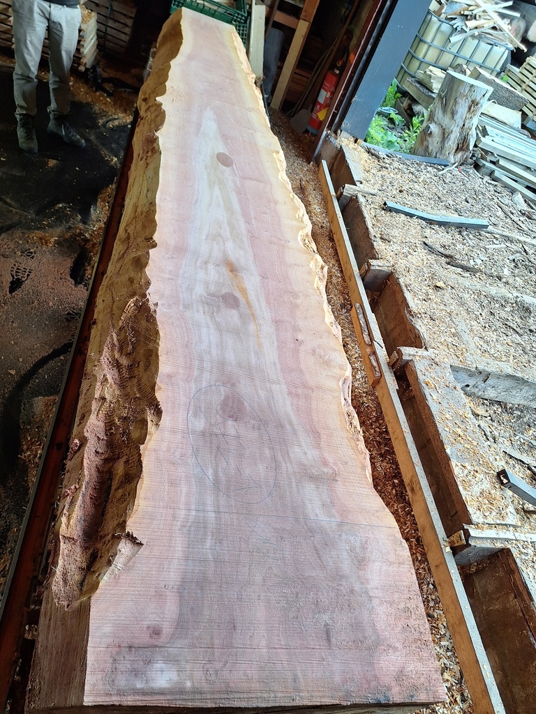 Plateau Platane 53 x 350-600 x 4100 mm de la boule 972 - 1