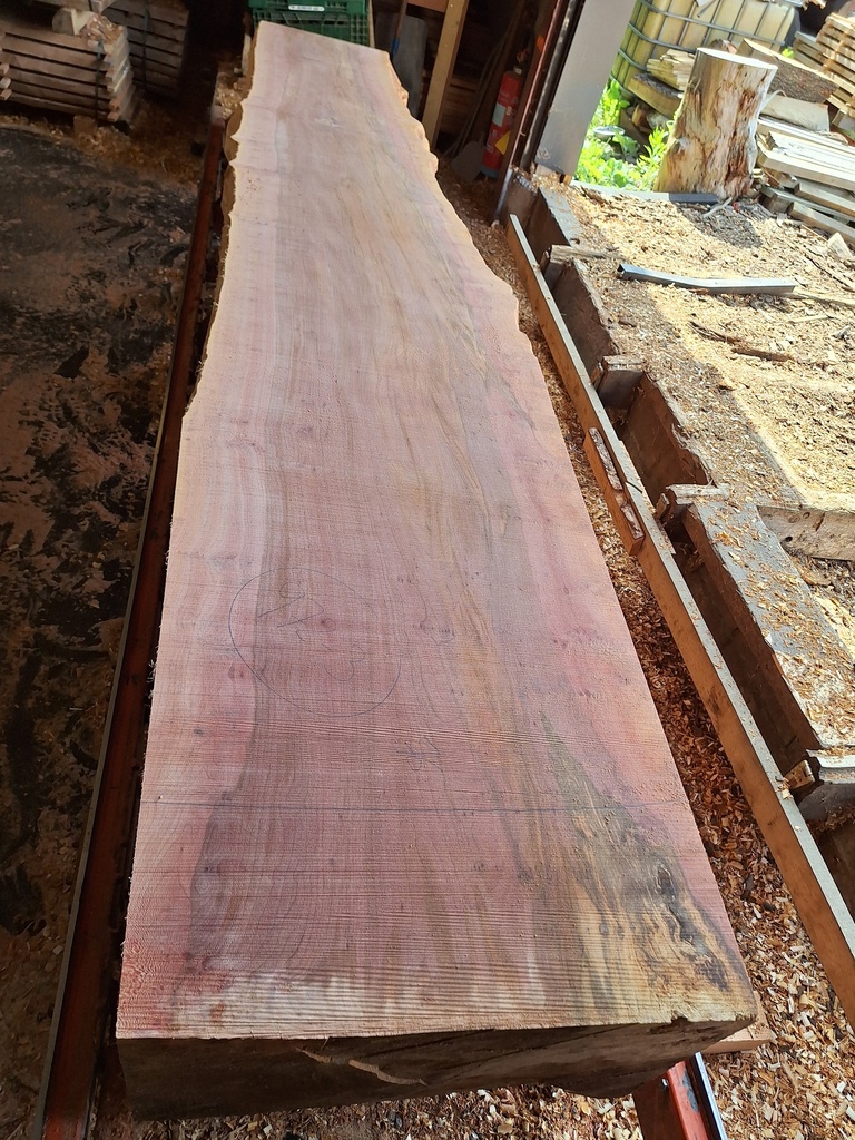 Plateau Platane 53 x 560-760 x 4100 mm de la boule 972 - 3