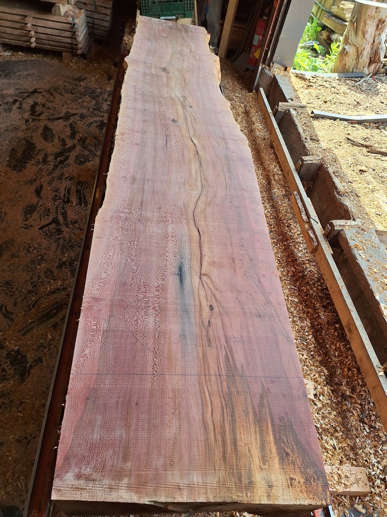 Plateau Platane 53 x 660-760 x 4100 mm de la boule 972 - 5