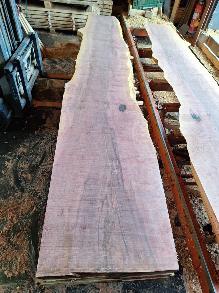 Plateau Platane 53 x 540-760 x 4100 mm de la boule 972 - 8