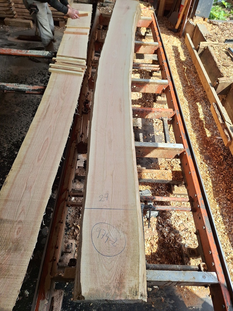 Plateau Frêne 28 x 270-340 x 4070 mm de la boule 974 - 2