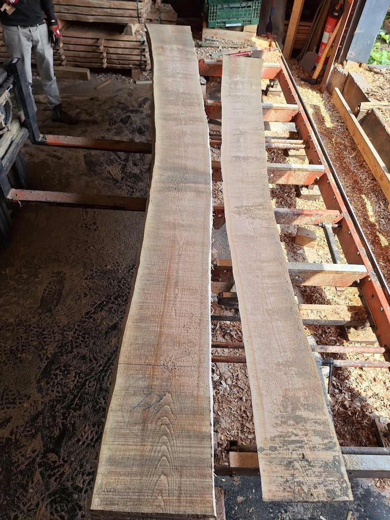 Plateau Frêne 28 x 290-390 x 4070 mm de la boule 974 - 7