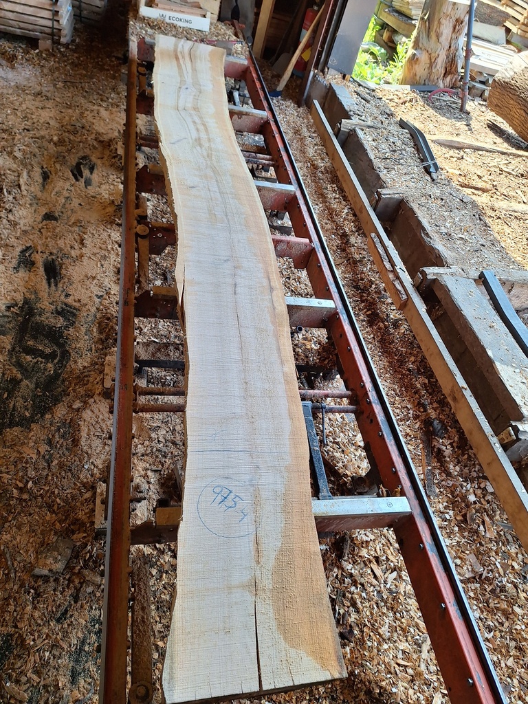 Plateau Merisier 38 x 360-460 x 3400 mm de la boule 975 - 4