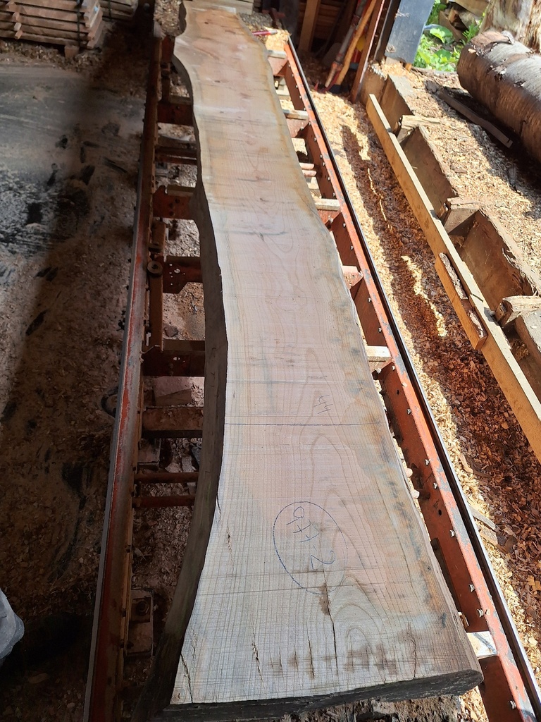 Plateau Frêne 33 x 440-500 x 4050 mm de la boule 977 - 2