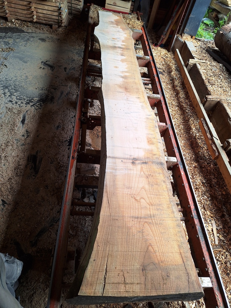 Plateau Frêne 43 x 440-500 x 4050 mm de la boule 977 - 3